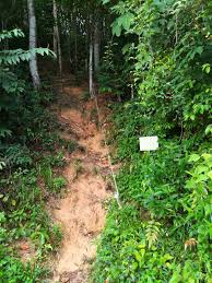 Size taman bukit kepayang, seremban, negeri sembilan için sonuçlar gösteriliyor. Trail Bukit Kepayang