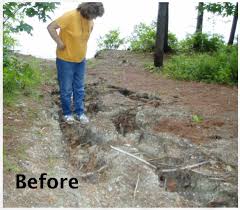 Swales can be naturally occurring or manmade, but contact a pro before trying to create one yourself to be sure you are diverting water properly. Rubber Razors Do It Yourself Conservation Practices Acton Wakefield Watersheds Alliance