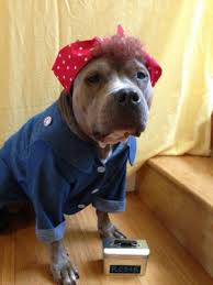 Reiki For Animals A Redondo Beach Woman Heals Rescued Dogs And Finds Healing Herself Easy Reader News
