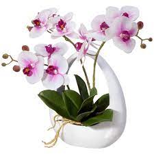Dahlia Studios Pink White Phalaenopsis Orchids 13 Faux Floral In White Pot Phalaenopsis Orchid Orchid Flower Arrangements Orchids