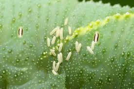 ライブドアブログ