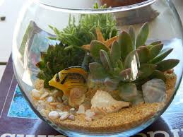 Looking for beach themed crafts and activities for your kids? 21 Amazing Things To Buy From The Home Decorators Collection Decorative Fish Bowl Ideas