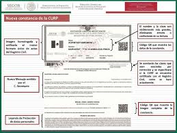 See more of buscar curp on facebook. Curp Gratis En Mexico Buscar Nuevo Formato 2021 En Linea