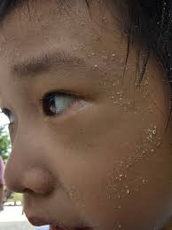 Anyone who lives near the Tiong Barhu Park, if you bring your child here to  play with sand, be careful with this guy. This morning I brought my child  here to play