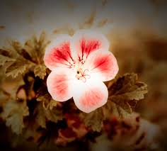 You don't really need to send the letter, yet get every one of your emotions out on paper. On The Frontline Of Meditation Coaching Taoism Practice Shadow Work Iawake Technologies