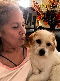 Passing of Grandma Bambi the Hamster