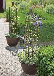 Grow Compact Clematis In Containers Gardeners Com Trellis Plants Obelisk Trellis Pot Trellis