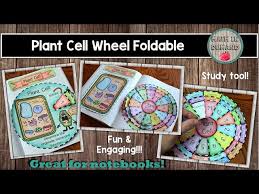 Animal and plant cell foldable. Plant Cell Wheel Foldable Youtube