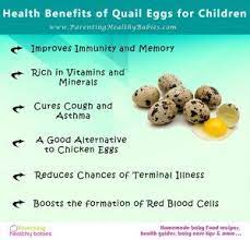 Pin On Eggs