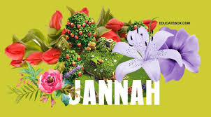This is a common problem with gerbera daises. Names Of Flowers In Jannat Jannah Find Out Names Of Jannah Flower