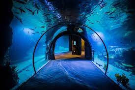 olmamiss funtastic aquarium izmir izmir turkiye tripadvisor