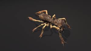 You can find even some of them in greece and spain. Camel Spider Monster Solifugae Mutant Game Enemy Assetsdeals Pro