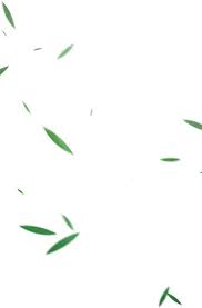 Floating Green Bamboo Leaf Png Element Material Free Png Downloads Bamboo Leaves Background Images For Editing