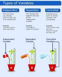 Description Of Independent Variable Dependent Variable And Control High School Science Teaching Biology Biology Classroom