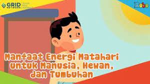 Manfaat Energi Matahari Untuk Manusia Hewan Dan Tumbuhan Youtube