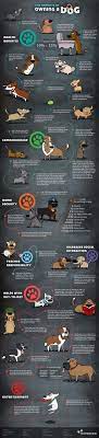 Pets Dog Infographic Dog Care Dog Love