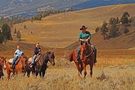 Experience the wild side of canada's first national park on our banff backcountry riding adventure! Saddle Up Yellowstone National Park Lodges