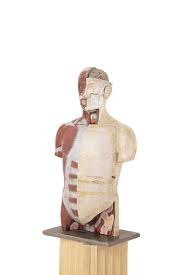 A bust is a sculpted or cast representation of the upper part of the human figure, depicting a person's head and neck, and a variable portion of the chest and shoulders. Vintage Medical Anatomical Bust By Paravia Torino For Sale At Pamono