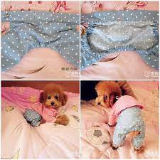 Diy Cute Pants For Dog Lovepetsdiy Com Dog Clothes Diy Dog Pants Diy Dog Stuff
