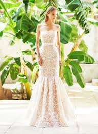 Die griechische landschildkröte (testudo hermanni) ist die beliebteste landschildkröte die als haustier in gefangenschaft gehalten wird. Christos Costarellos Begeistert Mit Femininen Brautkleidern