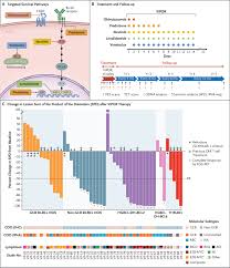 Combination Targeted Therapy in Relapsed Diffuse Large B-Cell Lymphoma