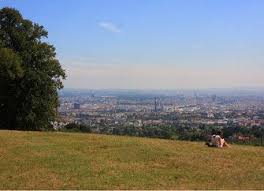 Bellevuewiese Google Suche Suche