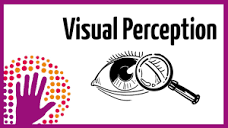 Visual Perception – How It Works - YouTube