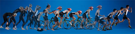 sprint triathlon plans triradar