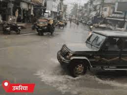 Dainik Bhaskar - News update