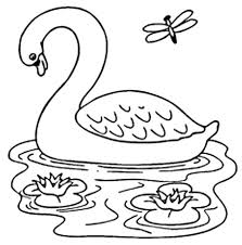 High sketsa berwarna karya bagus putra (premium). Sketsa Bebek Dan Cara Menggambarnya Mudah Banget
