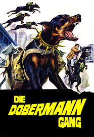Best of doberman | the super intelligent dog. The Doberman Gang 1972 Mike S Take On The Movies Rediscovering Cinema S Past