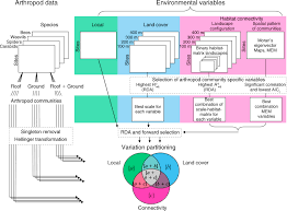 Legii nr.153/2017, anexa ii, cap.ii. Habitat Connectivity Shapes Urban Arthropod Communities The Key Role Of Green Roofs Braaker 2014 Ecology Wiley Online Library