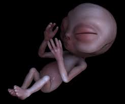 What Darwin Can Tell Us About Aliens | Live Science