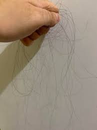 Image result for Hair Pull Test