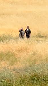 Your introverted friend who you can have alone-time together with. 😌  @tonimoons 🫶🏼