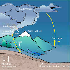 The Water Cycle North Carolina Climate Office