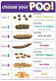 Image result for Encopresis