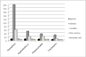 Image result for Lefebvrea longipedicellata