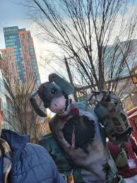 ⛓️ Vinnie ⛓️ (AKA The Real Chaz!) (@CountVinnicula)