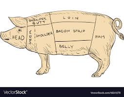 Vintage Pork Meat Cut Map Drawing