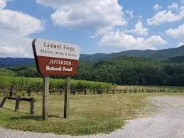 George washington & jefferson national forest. Caldwell Fields Group Campground George Washington Jefferson National Forest Recreation Gov
