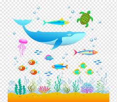 Media audio visual media audiovisual merupakan media yang mampu menampilkan suara dan gambar. Desain Grafis Ilustrasi Hewan Laut Dalam Batas Mamalia Laut Teks Png Pngwing