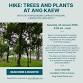 Hike: Trees and Plants at Ang Kaew Reservoir event image