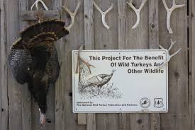 California Turkey Hunting Changes New 2016 Regulations Adopted Nwtf California