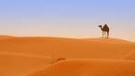 Some Saudi travel agencies authorised