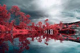Infrared Lens Filter Successfully Mimics The Look Of Kodak Aerochrome Film Infrared Photography Kodak Infrared