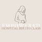 Empowered Hospital Birth — loomabirth event image
