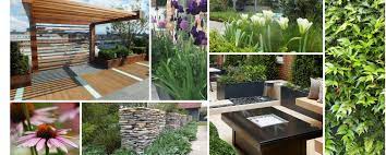 A small backyard is still a backyard—you don't need a huge space for outdoor fun and leisure in your very own home. Design Process Aralia Garden Design Landscape Garden Design