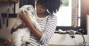 Browse cat, dog boarding, walking, grooming in. The 10 Best Cat Sitters Near Me With Free Estimates