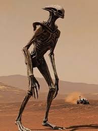 Alien spotted on Mars | TikTok